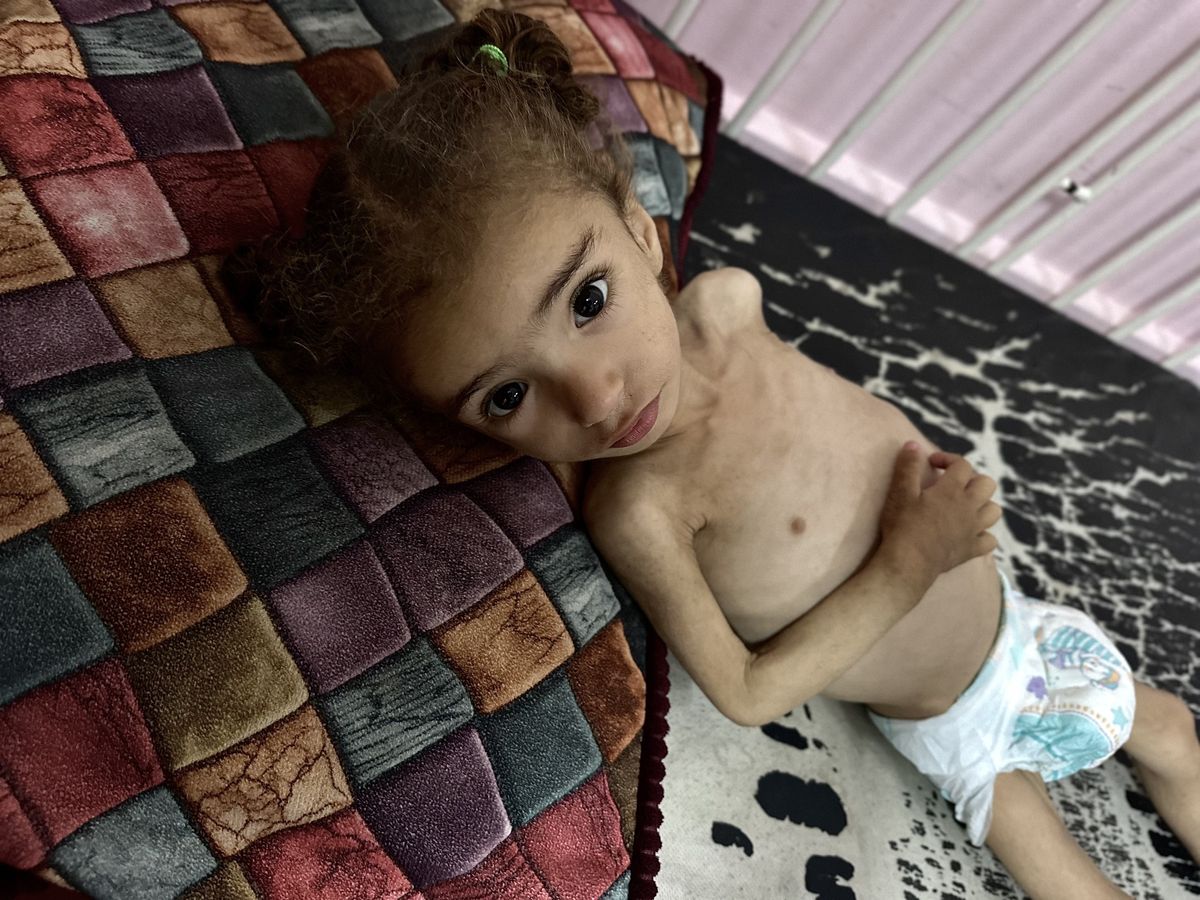 UN Warns 14,000 Babies in Gaza Could Die in 48 Hours Without True Lift of ...