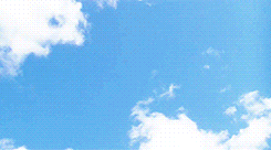 graduation, graduate, high school, high school graduation, diploma