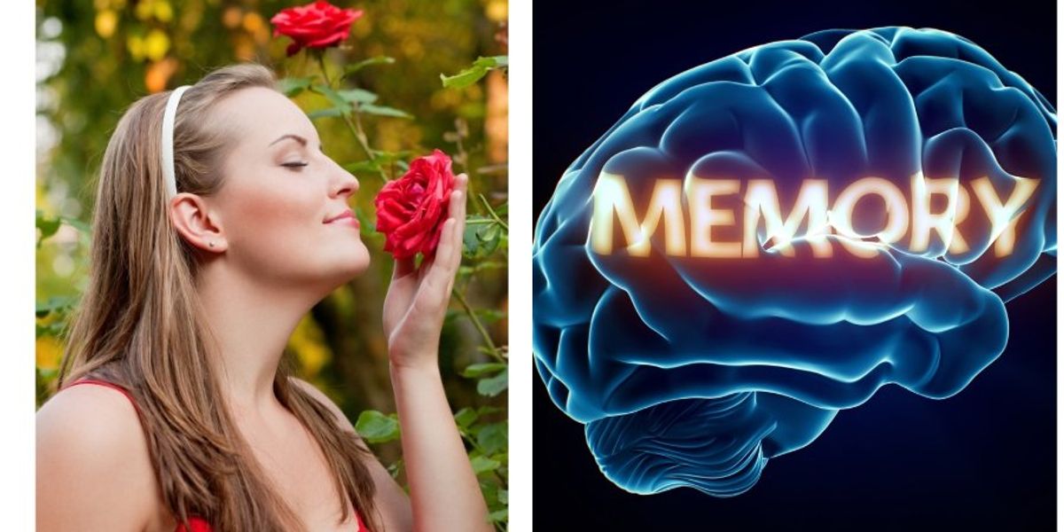 Scientists explain why that 'one smell' evokes the most blissful memory
