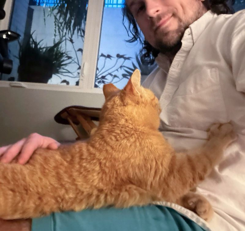 kneading lap cat