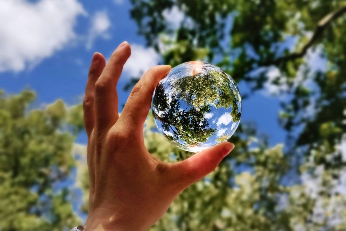 Hand holding a reflective sphere with trees and sky background.