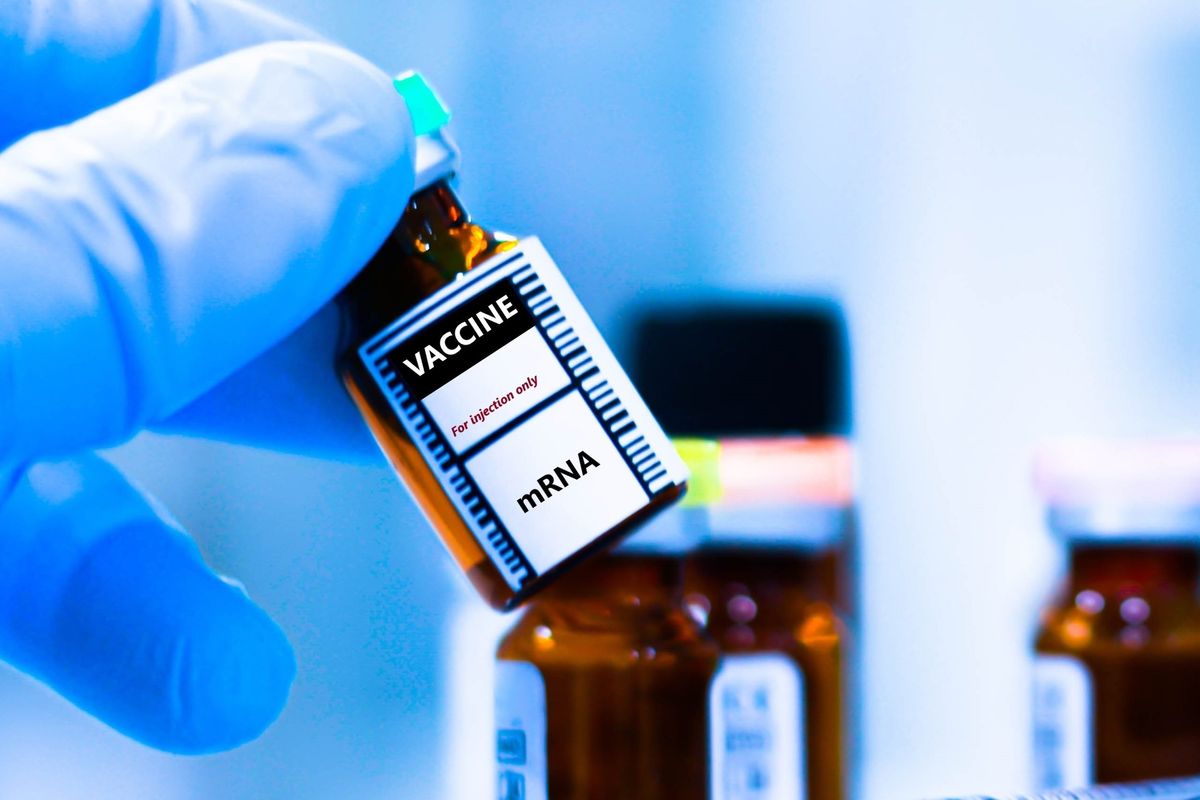 mrna autoreplicante allarme sui rischi tumori trasmissibili con pezzi di dna da Laverita.info mrna autoreplicante allarme sui rischi tumori trasmissibili con pezzi di dna
