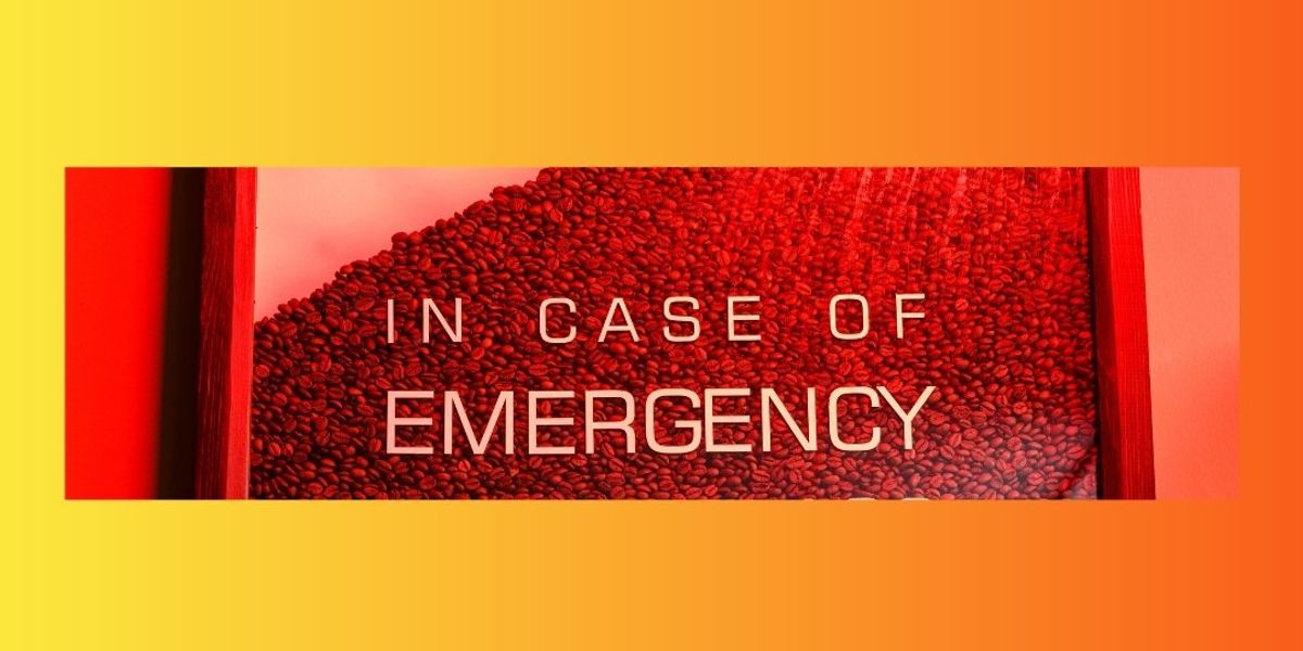 The people I listed as my emergency contacts both died. How I found footing without a safety net.