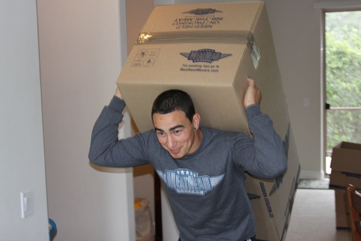 guy moving boxes, moving day, helping, lifting, service