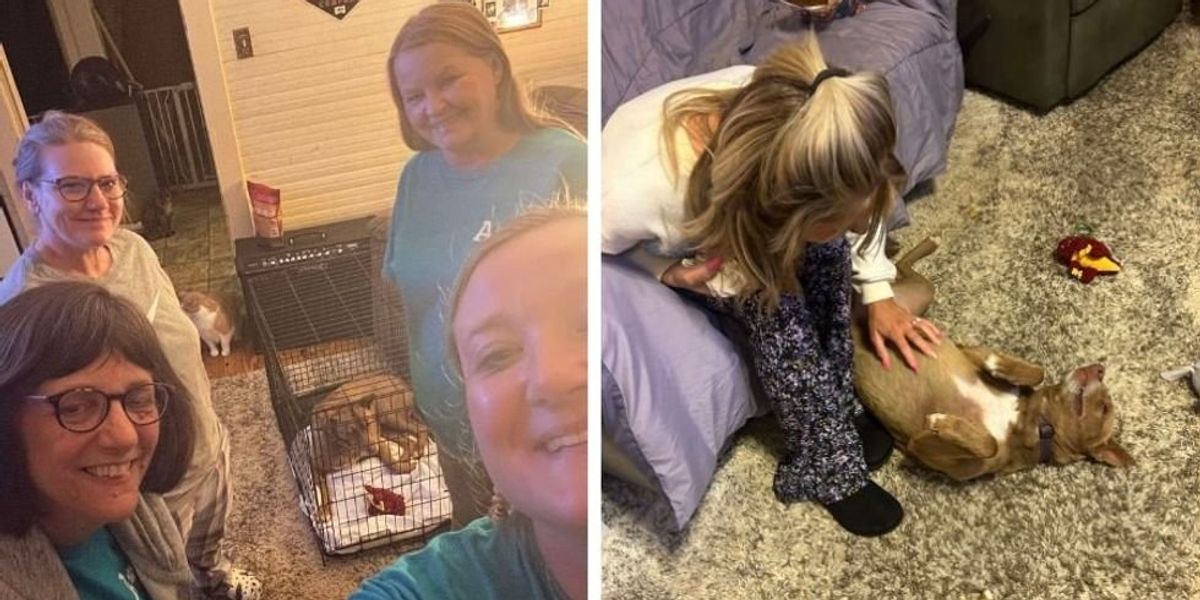 Her dog had been lost in the wilderness for months. Their teary reunion says it all.