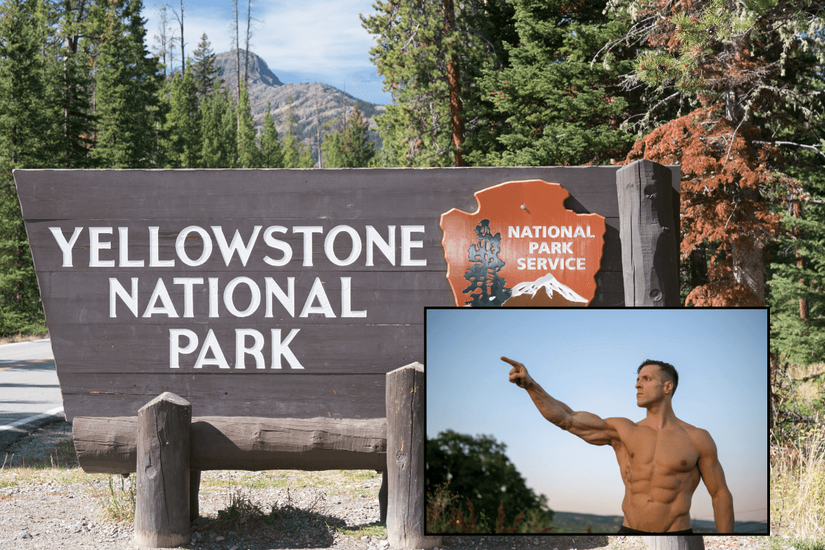 yellowstone, national parks, parks, outdoors, nature, public parks, government, activism, funny, parody, humor, tiktok