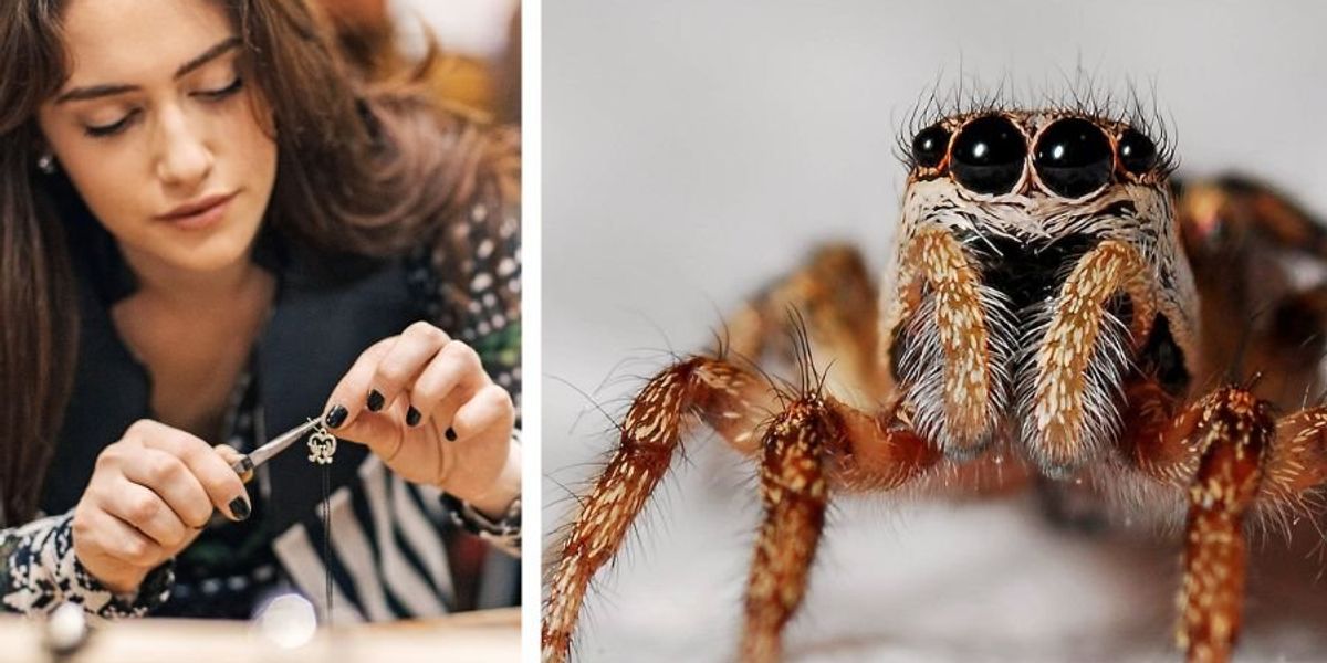 Woman befriends spider living in her mobile home and even builds it a tiny house