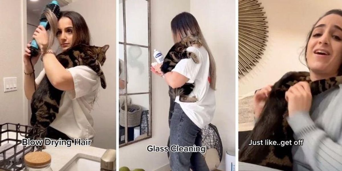This couple has the clingiest cat on Earth and people can't get enough of his cute demands