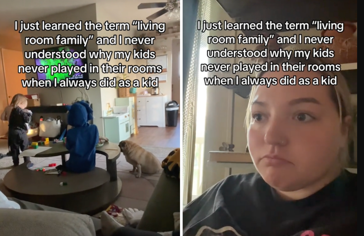 living room, dog, kids playing, tv, family room, family life, blocks