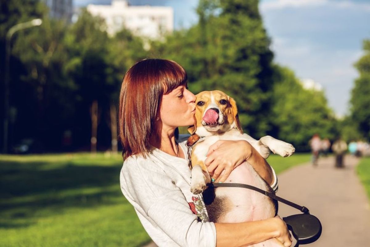 dogs; dogs eyebrows; dogs have eyebrows; evolution of dogs; man's best friend; puppy dog eyes