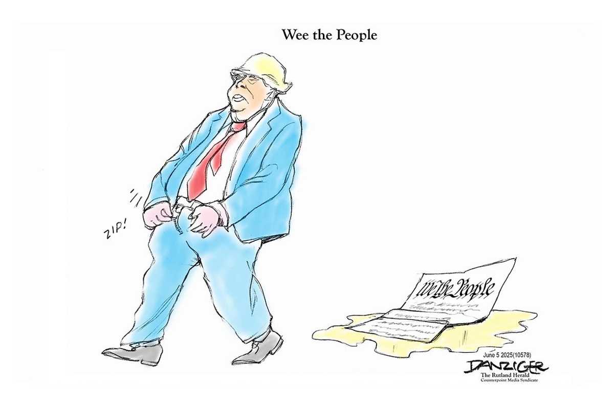 Danziger Draws