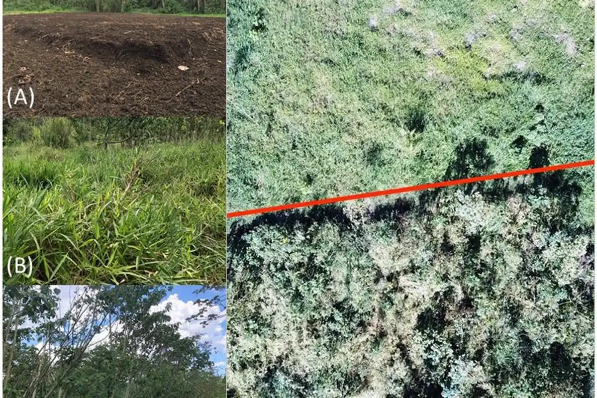 coffee, environment, environmentalism, global warming, climate change, innovation, science, planet, earth