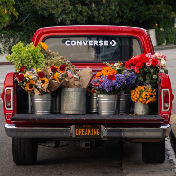 Converse and PAPER Wrote Love Letters to LA With Film and Flowers