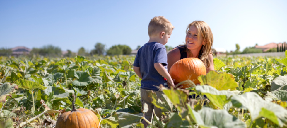 pumpkins, pumpkin patch, young boy, mom field, smiling mom