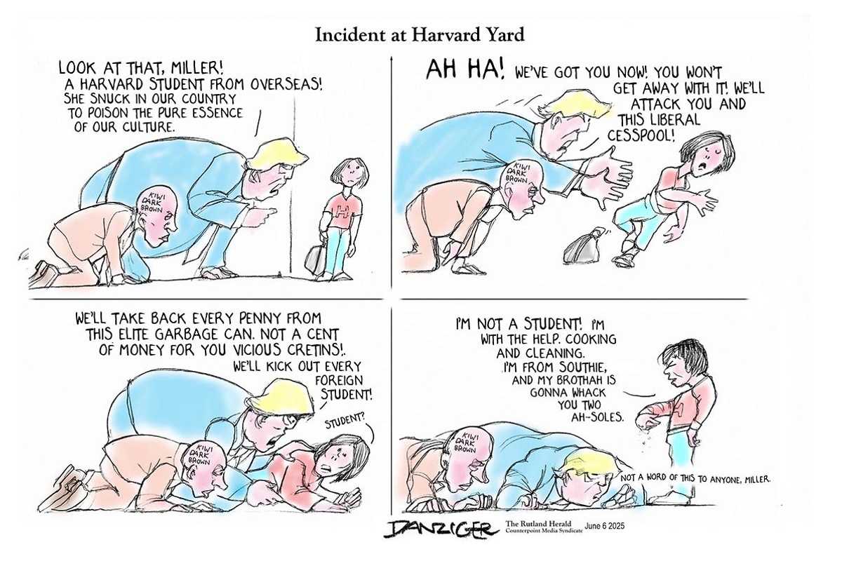 Danziger Draws
