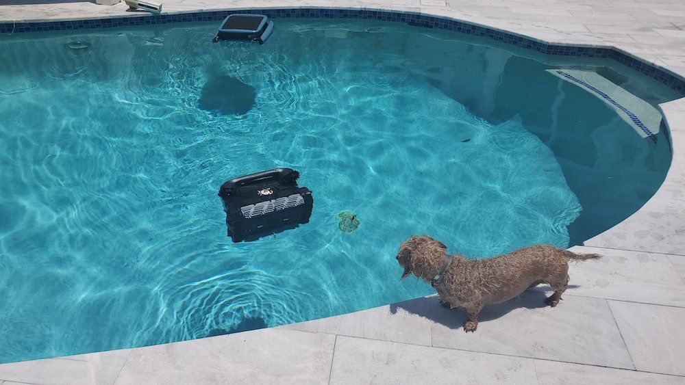 Top 8 Smart Robotic Pool Cleaners of the Year