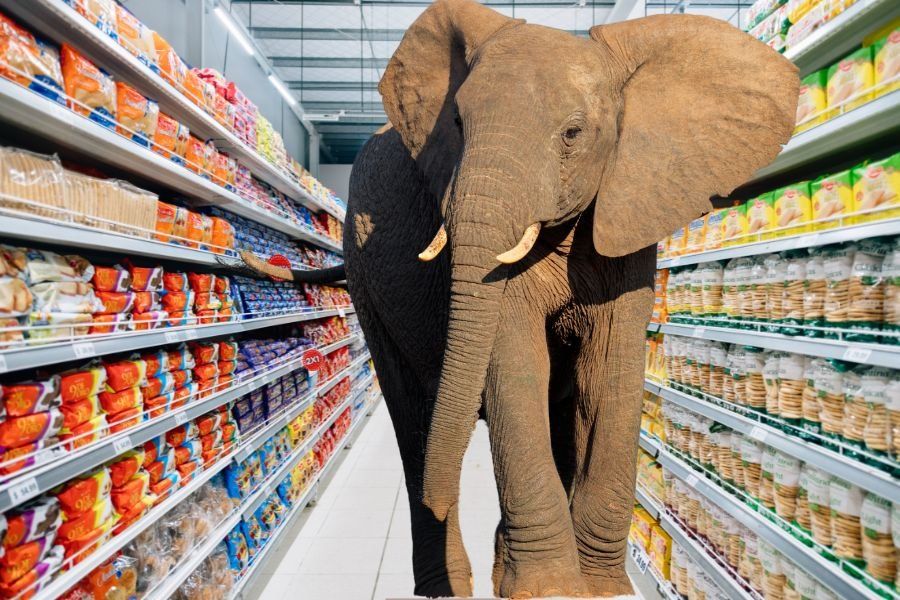 elephant; Thailand; elephant goes shopping; elephant in store; elephant in the room; funny stories