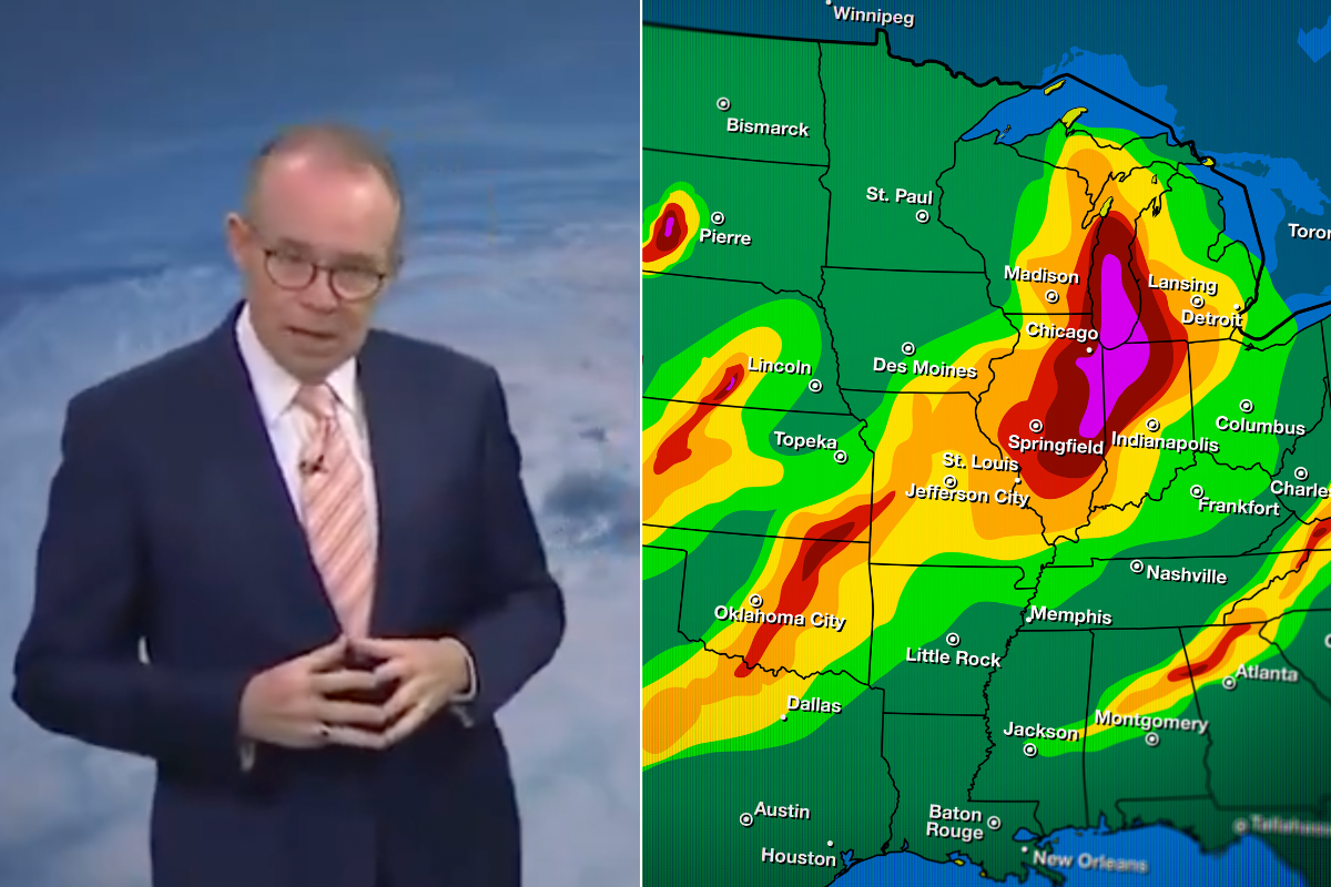 weatherman, weather, meteorologist, news, tv news, news anchor, viral videos, trump, doge, government