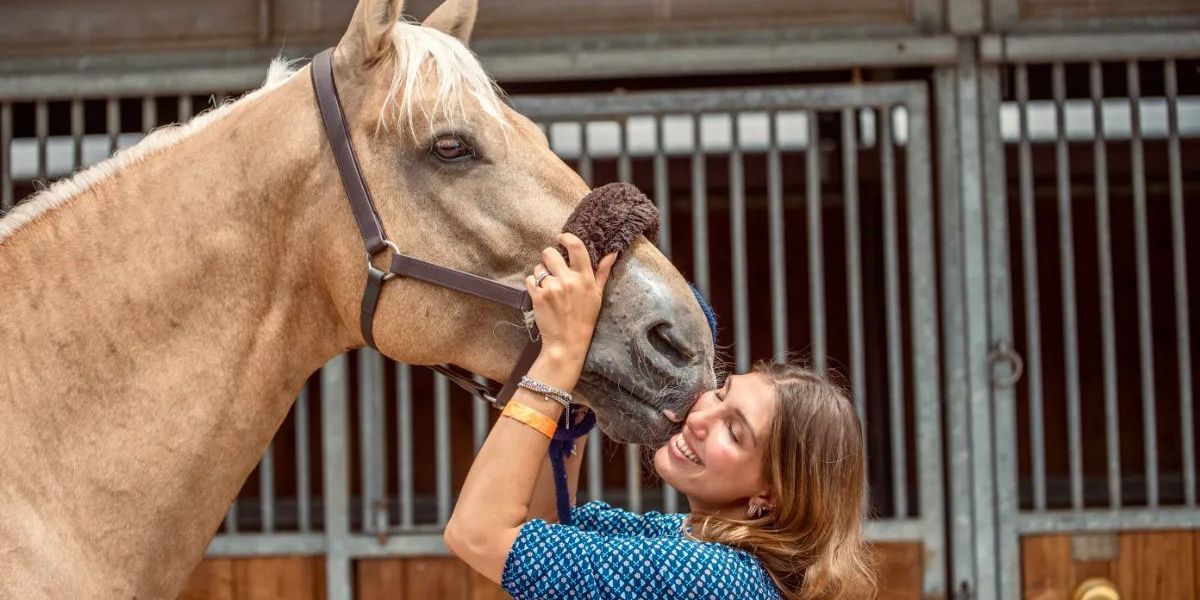 La rotatoria del Pd di Padova affossa un’impresa e «sfratta» 77 famiglie La rotatoria del Pd di Padova affossa un’impresa e «sfratta» 77 famiglie