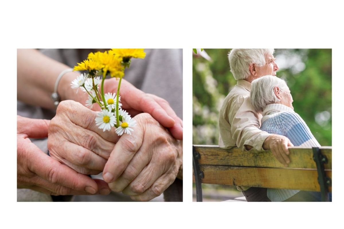 elderly hands, flowers, bench, lovebirds, love
