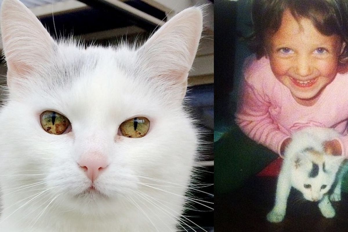 5-year-old Girl Found a Tiny Kitten, 17 Years Later, They are Still Together