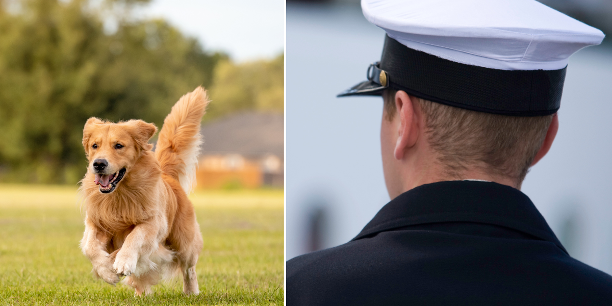 Navy sailor's plea for help finding his dog sparks debate when rescue family refuses to give him up