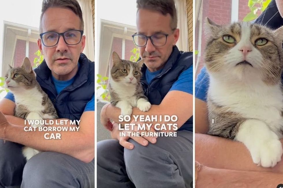 Veterinarian delivers best response after being told it's 'disgusting' to let cats on furniture