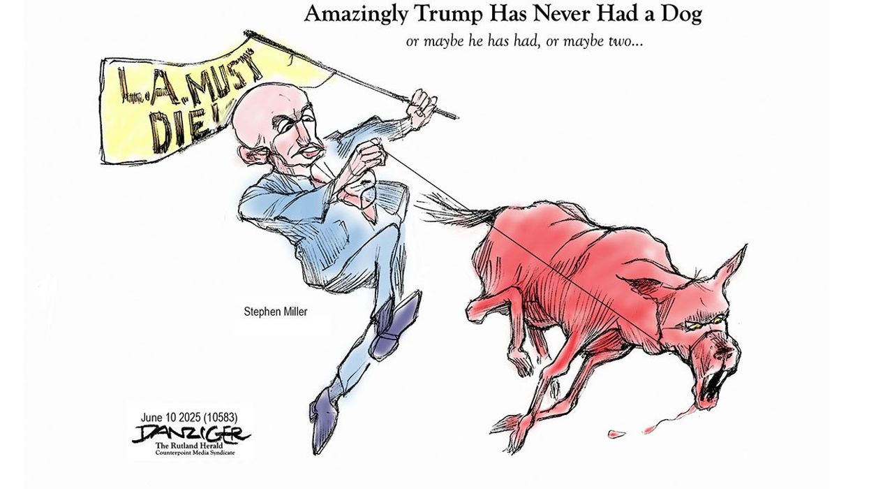 Danziger Draws