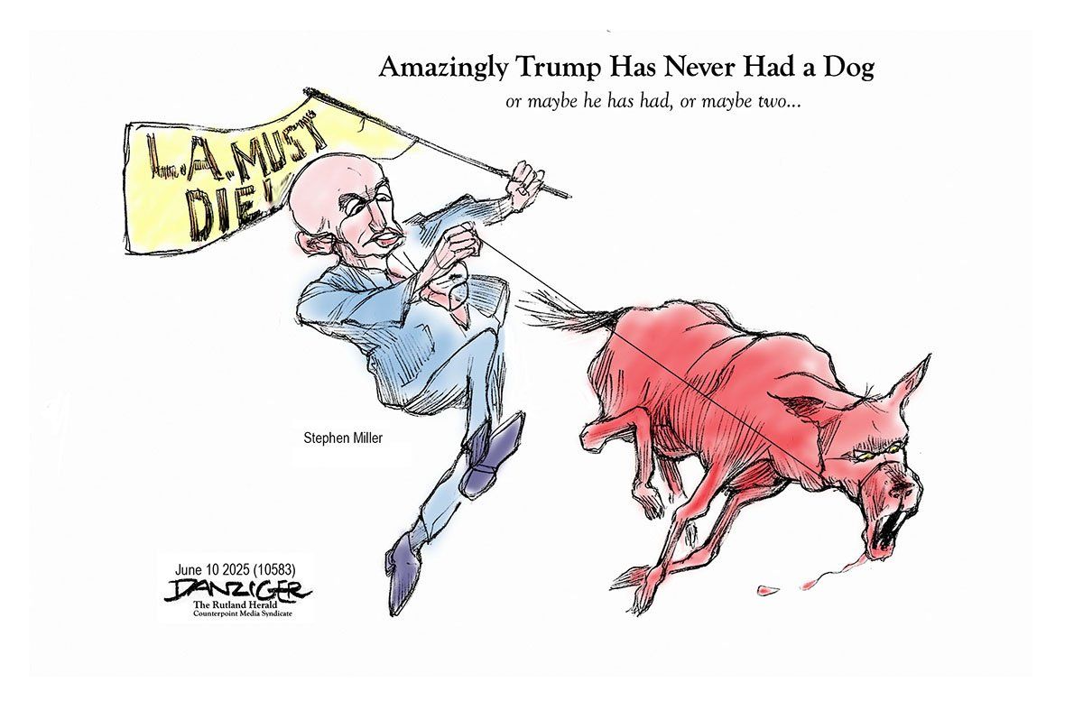 Danziger Draws