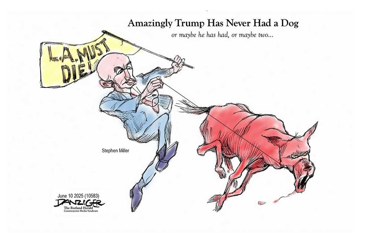 Danziger Draws