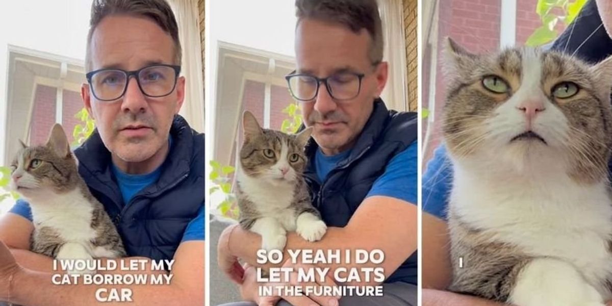 Veterinarian delivers best response after being told it's 'disgusting' to let cats on furniture