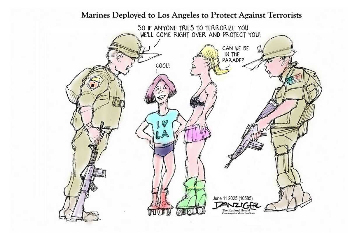 Danziger Draws