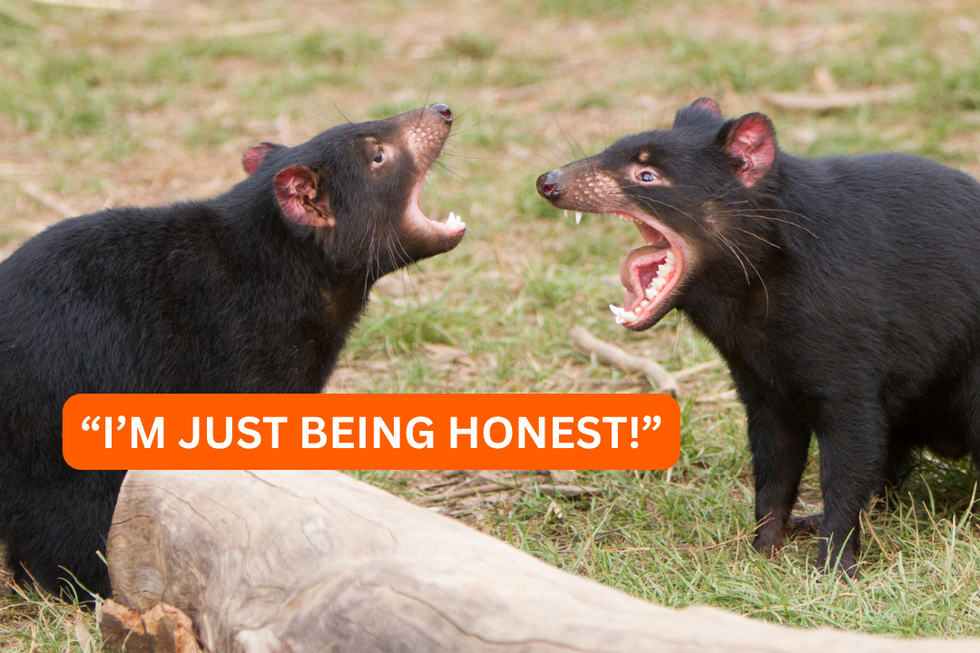 13 common phrases that make people cringe (and what to say instead)