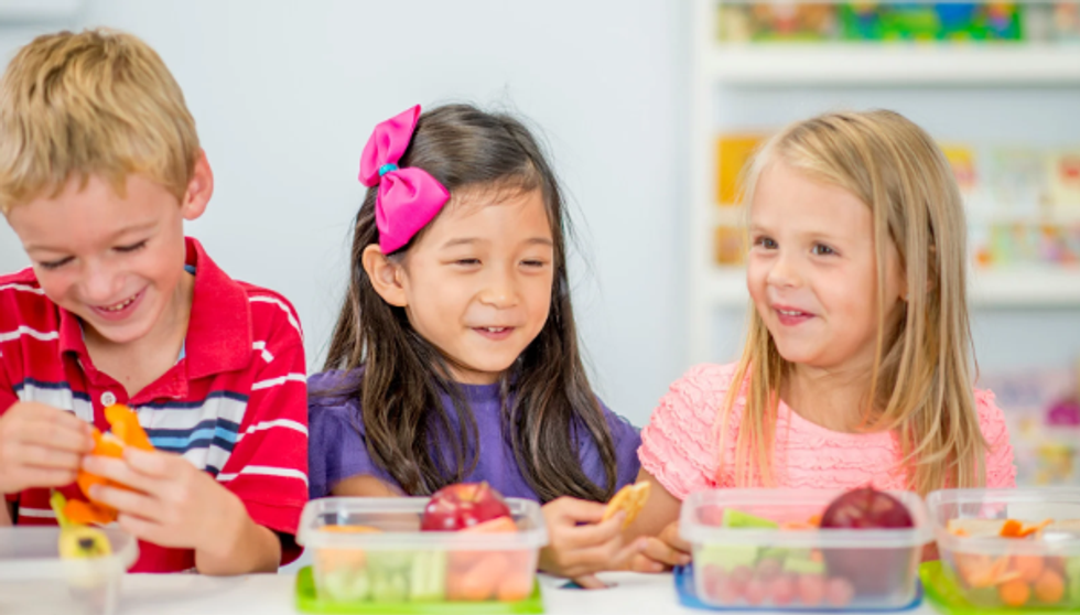 kids lunch, school lunch, children sharing lunch, lunch table, apples, carrots