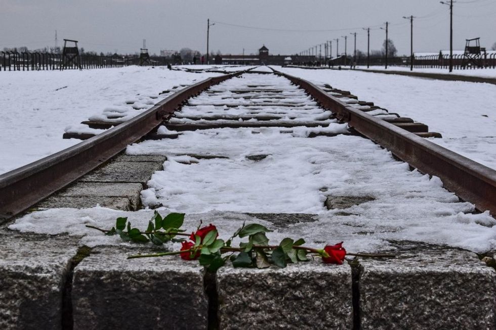 germany, WWII, concentration camp, holocaust, auschwitz-birkenau
