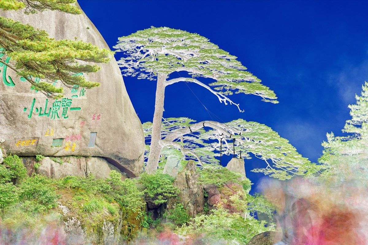 Olivo Barbieri in mostra alle Gallerie d'Italia di Torino