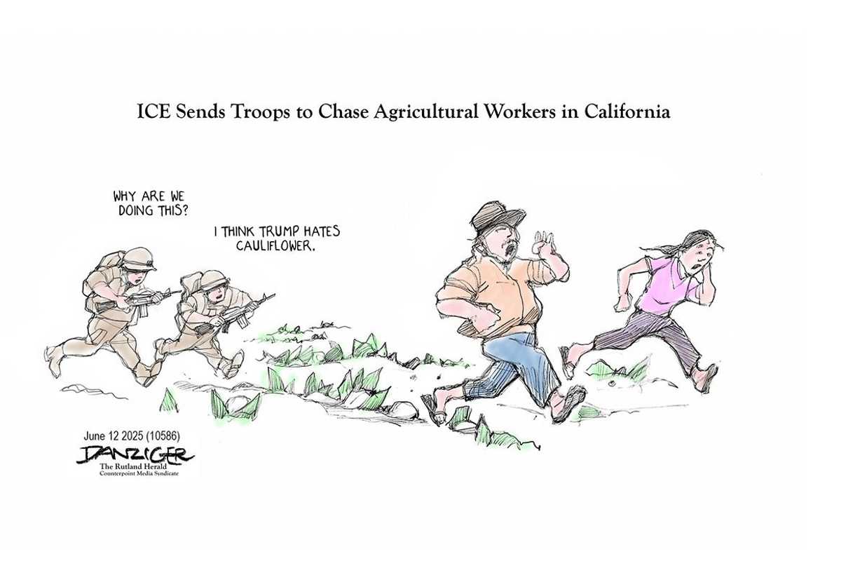 Danziger Draws