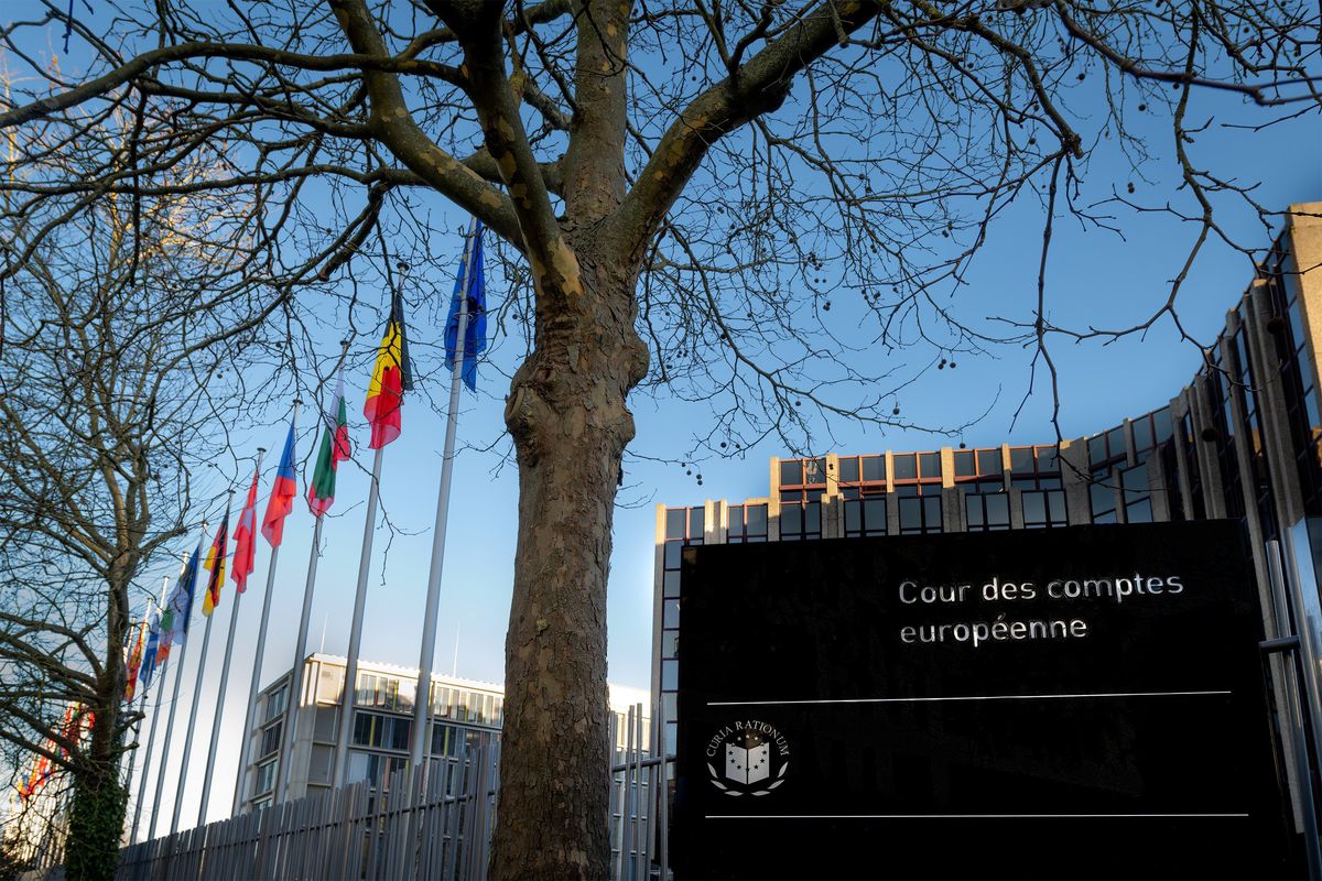 «Fondi alle Ong, poca trasparenza»