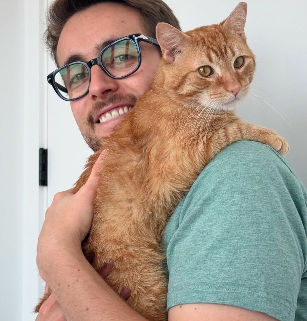 snuggly cat man