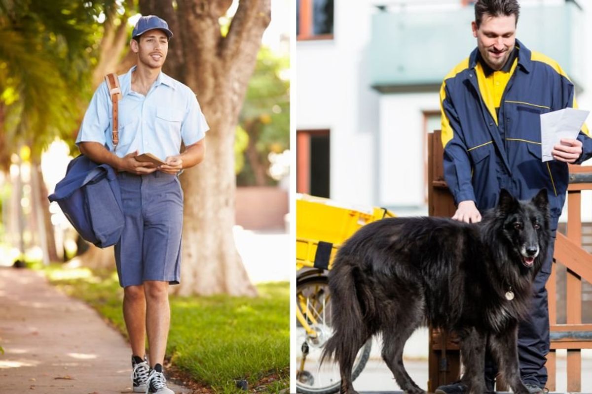 dog rescue; humane society; vietnam vet; mailman saves dog; mailman rescues dog