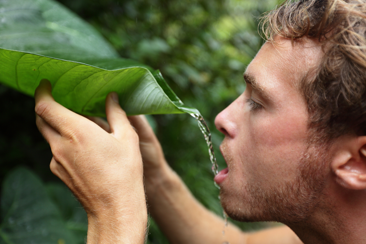 off grid, off grid lifestyle, jungle, rainforest, gen z, money, homeowner, culture, economy, alternative lifestyle