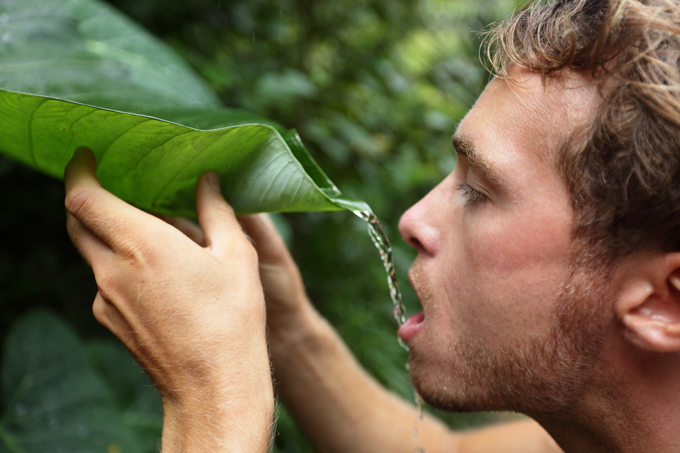 Instead of buying a home, 22-year-old spends life savings on a chunk of raw Colombian jungle