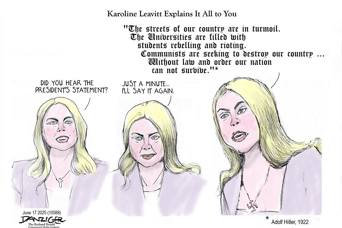 Danziger Draws