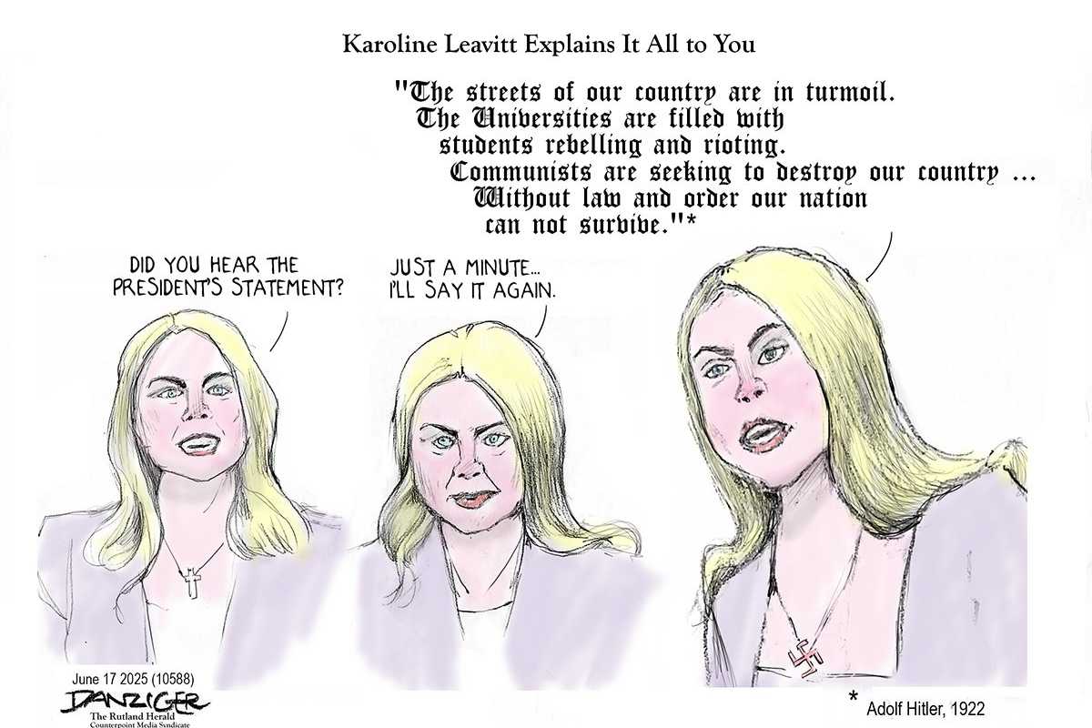 Danziger Draws