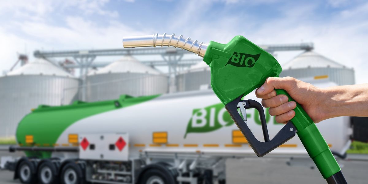 Biocarburanti, svolta dei Land tedeschi: ora dicono sì Biocarburanti, svolta dei Land tedeschi: ora dicono sì