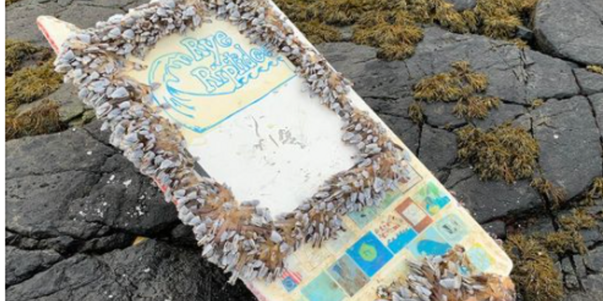 Middle schoolers in New Hampshire create adorable mini boat that sails all the way to Norway