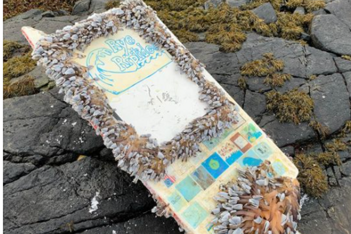 educational passages, norway, message in a bottle, education programs, school, middle school, positive news