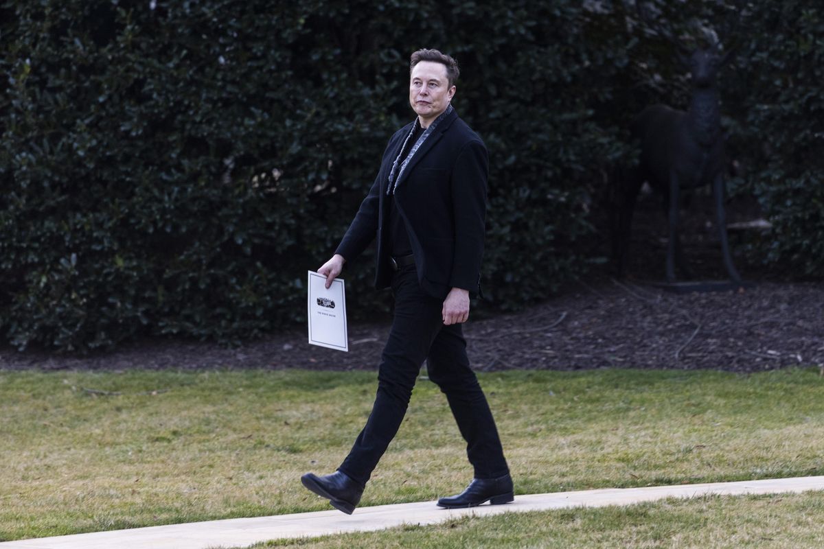 Mr Tesla lancia il suo partito e punta a diventare decisivo al Congresso