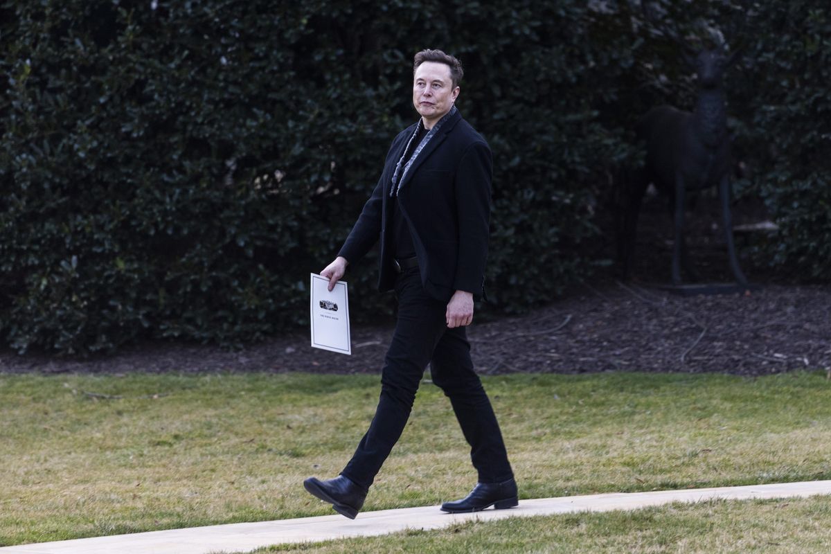 Mr Tesla lancia il suo partito e punta a diventare decisivo al Congresso