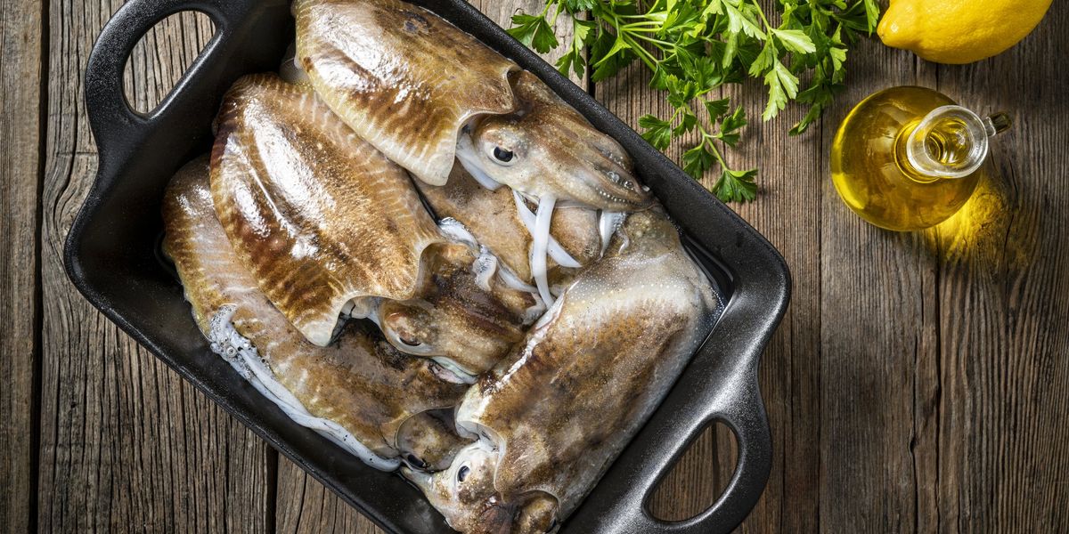 Le seppie, quei molluschi un po’ snobbati che a Venezia hanno sedotto Bezos Le seppie, quei molluschi un po’ snobbati che a Venezia hanno sedotto Bezos